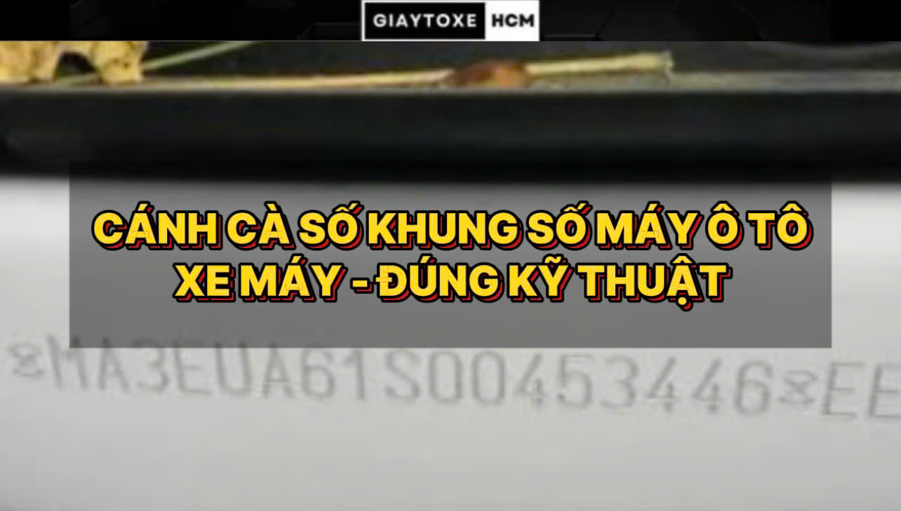 CÁCH CÀ SỐ KHUNG SỐ MÁY XE Ô TÔ VÀ VỊ TRÍ CÁC DÒNG XE